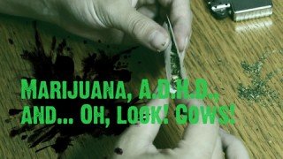 Síðasti videó spjallfundur vetrarins í kvöld, þriðjudag,  kl.20, Háaleitisbraut 13