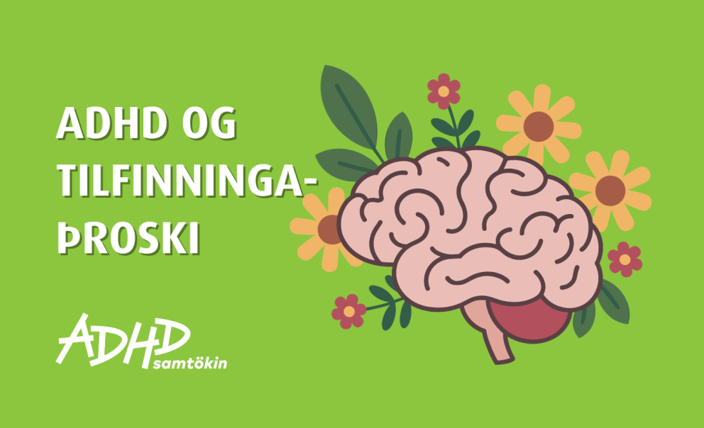 Fræðslufundi frestað
