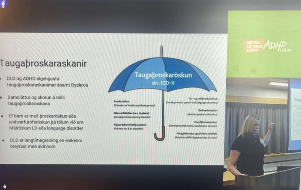 Frábær mæting á fræðslufundinn Hvað er DLD?