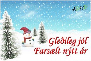 Gleðileg jól