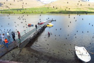 Gauarflokkur í Vatnaskógi - Nokkur pláss laus