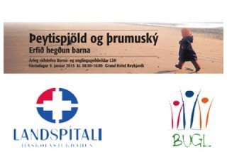 Þeytispjöld og þrumuský - Ráðstefna BUGL