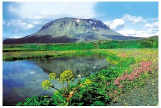Lokað vegna sumarleyfa til 4.ágúst