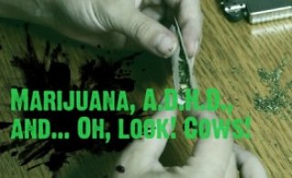 Síðasti videó spjallfundur vetrarins í kvöld, þriðjudag,  kl.20, Háaleitisbraut 13