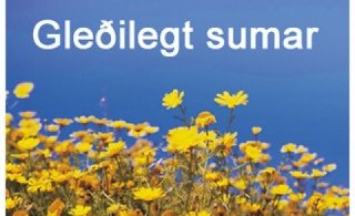 Gleðilegt sumar