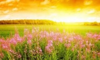 Síðasti spjallfundurinn annað kvöld