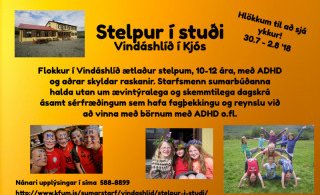 Laus pláss í sumarbúðirnar Stelpur í stuði