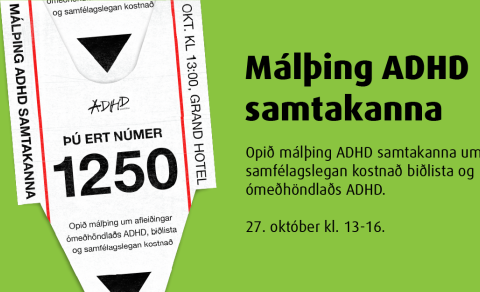 Þú ert númer 1250 í röðinni... Málþing á morgun