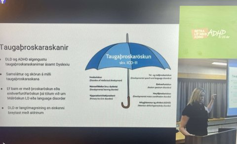 Frábær mæting á fræðslufundinn Hvað er DLD?