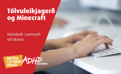 Tölvuleikjagerð og Minecraft - sumarnámskeið