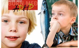 Makríll og mannréttindi