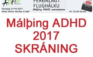 Ferðalag í flughálku - Málþing ADHD