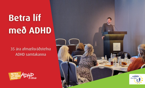 Ari Tuckman með erindi á ráðstefnunni.