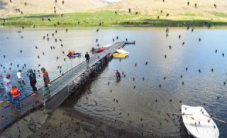 Gauarflokkur í Vatnaskógi - Nokkur pláss laus