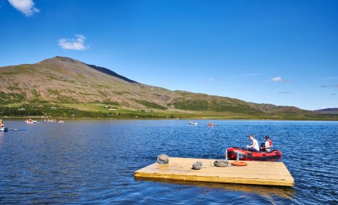 Gauraflokkur - Vatnasóg