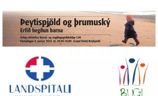 Þeytispjöld og þrumuský - Ráðstefna BUGL