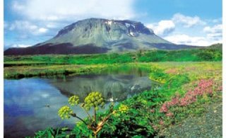 Lokað vegna sumarleyfa til 4.ágúst